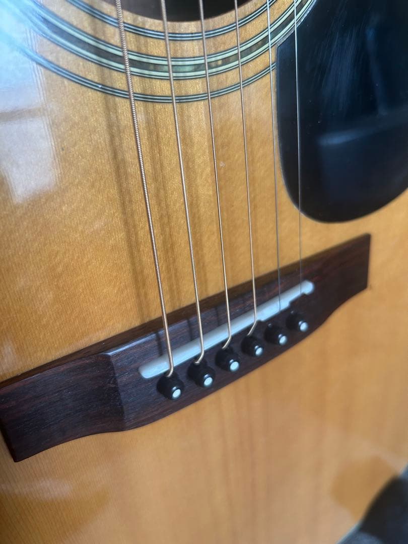 トップ単板 ゴトーペグ 2001年 寺田楽器製 BeeBird 調整済み アコギ