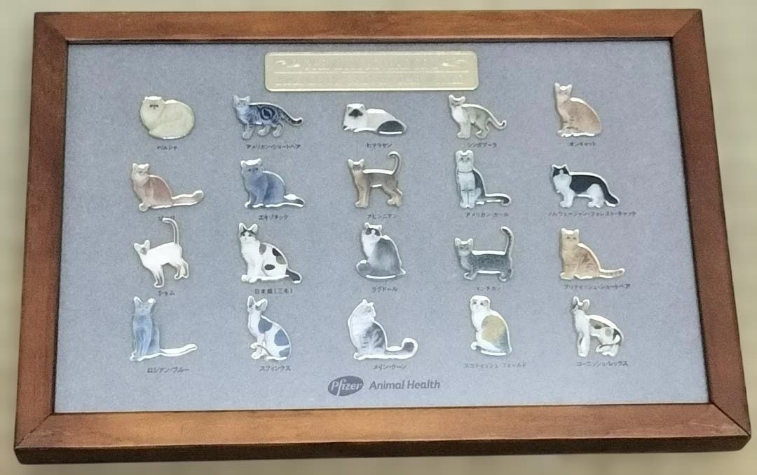ファイザー社 世界の猫ピンバッチ 額入り セット - メルカリ