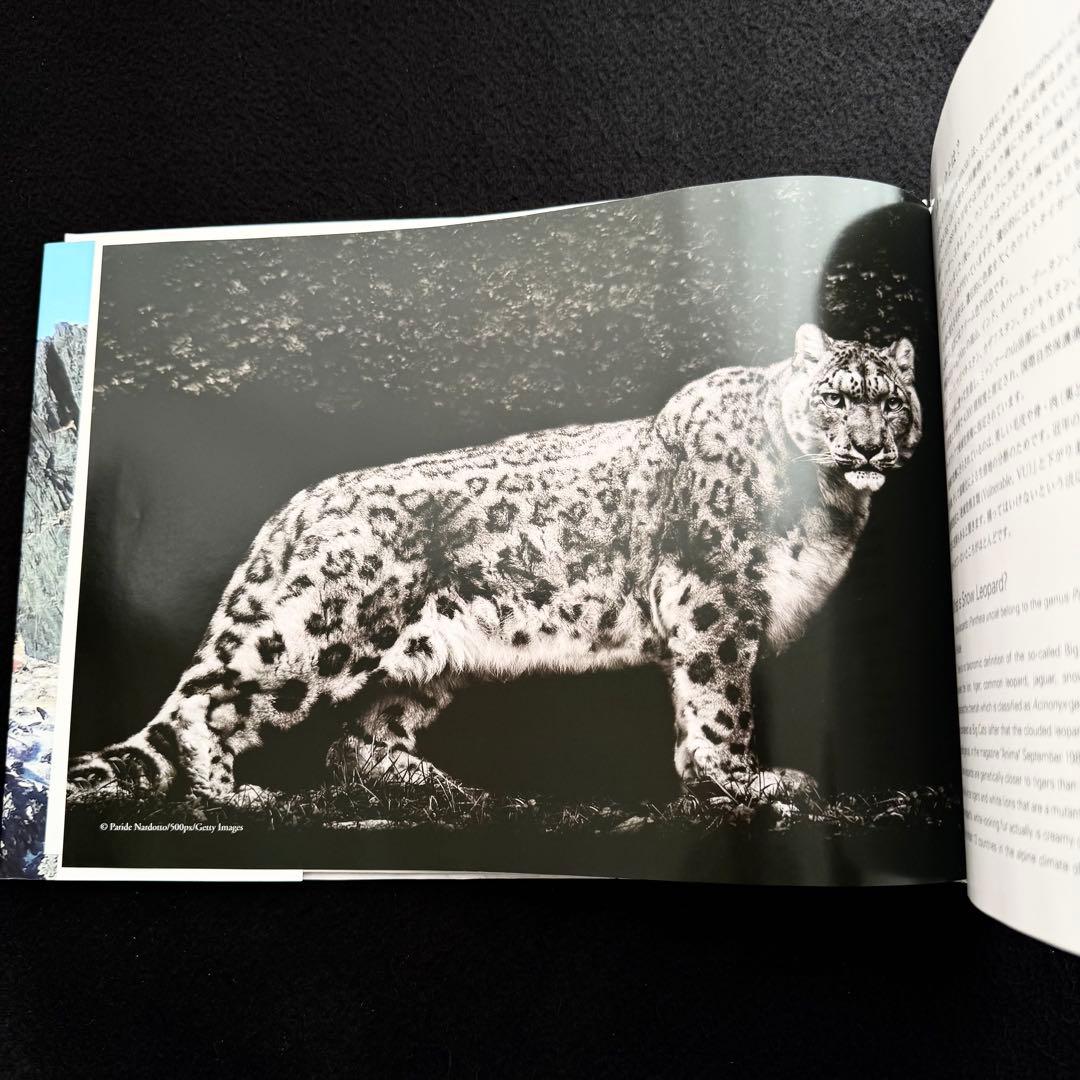 絶版】「神の獣 雪豹」秋山知伸 監修 2019年 ラーテルハート WWF