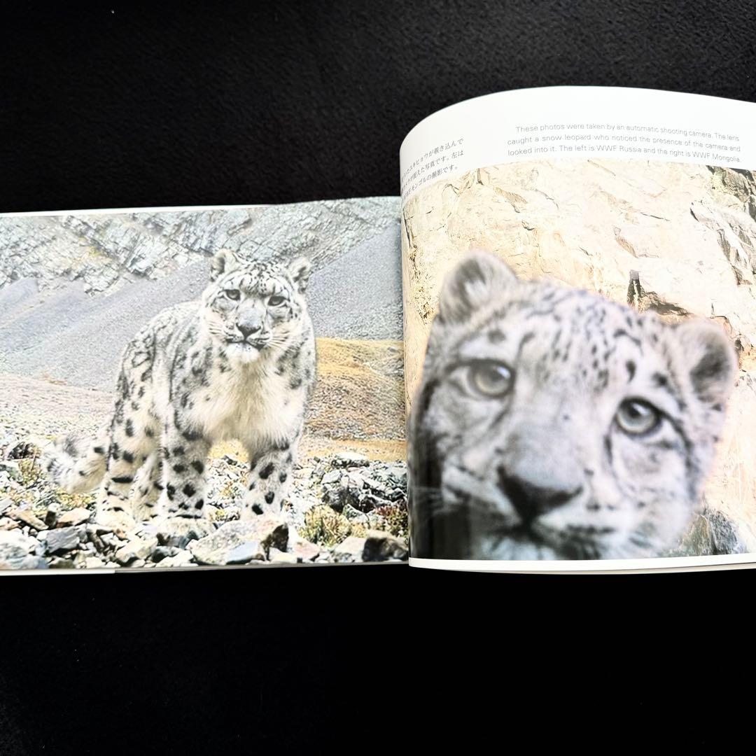 絶版】「神の獣 雪豹」秋山知伸 監修 2019年 ラーテルハート WWF