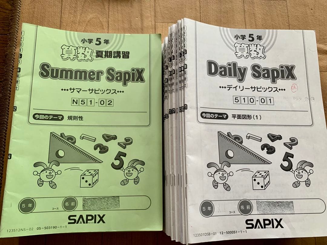 サピックス 5年 算数デイリー・スプリング・サマーサピックス - メルカリ