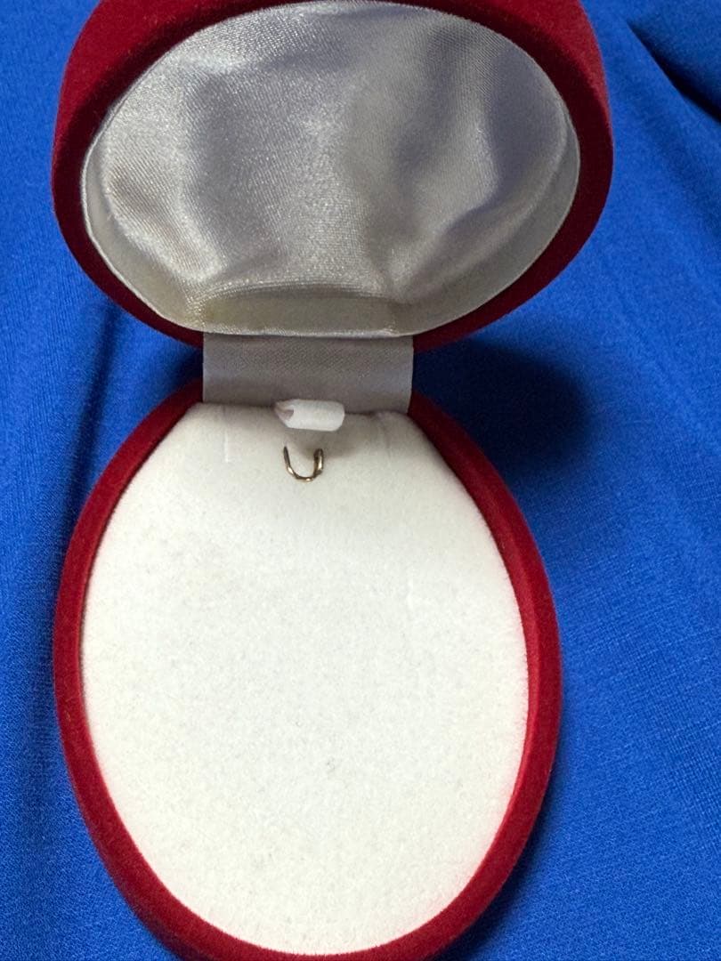 シュウシュウ様専用】リモージュ 貴婦人 ブローチ アンティーク