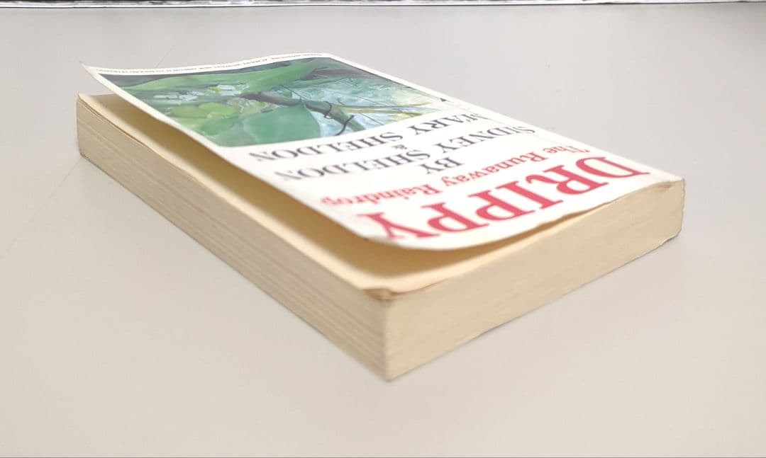 英語教材 家出のドリッピー イングリッシュアドベンチャー 全12巻