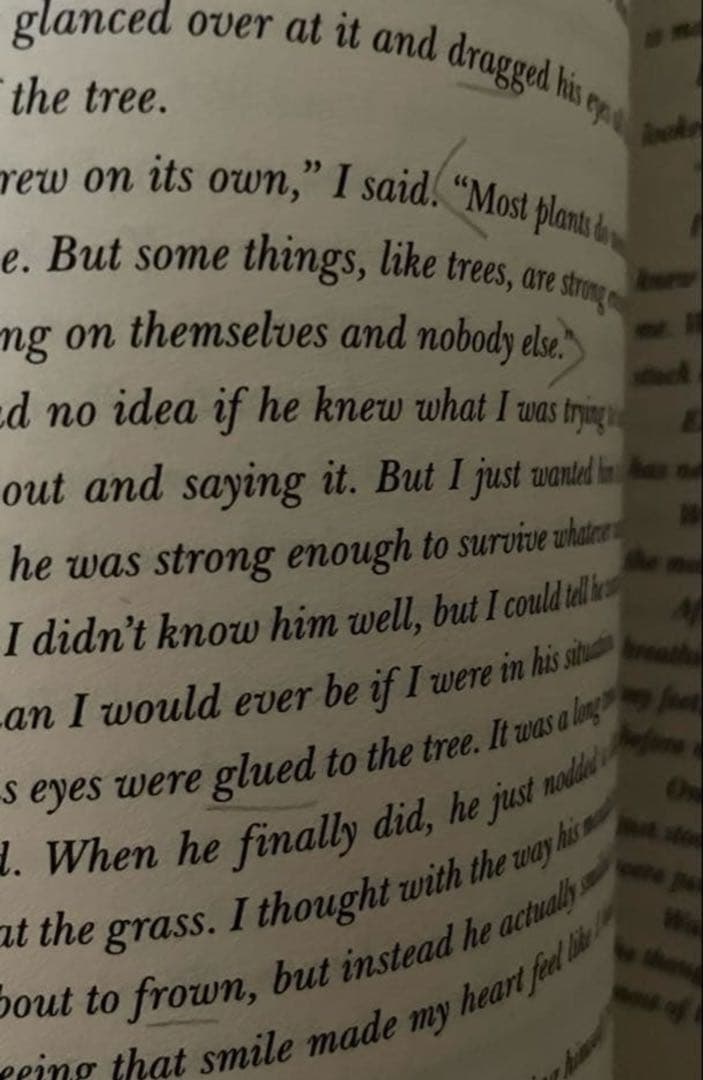 4冊セット 洋書 ウィズダム和英辞典 4冊セット 洋書 ウィズダム和英