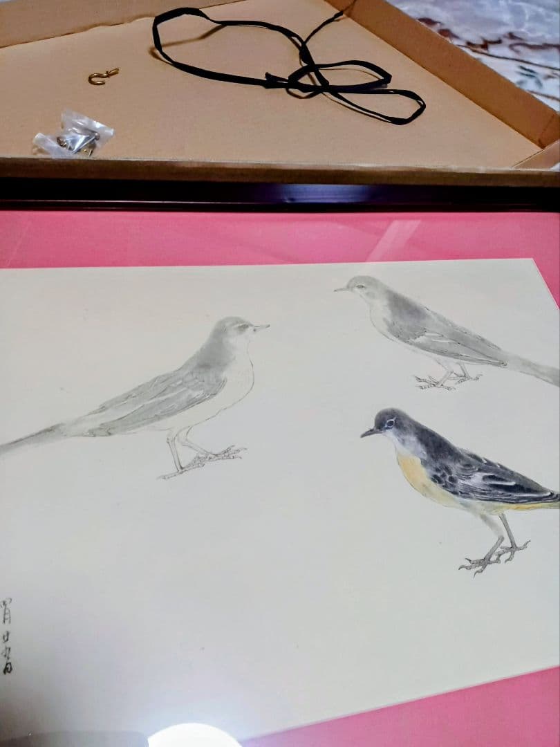 オリジナル原画　E85　 ピンク枠と黒いフレーム付 明治期　キセキレイ　岡嶋正夫