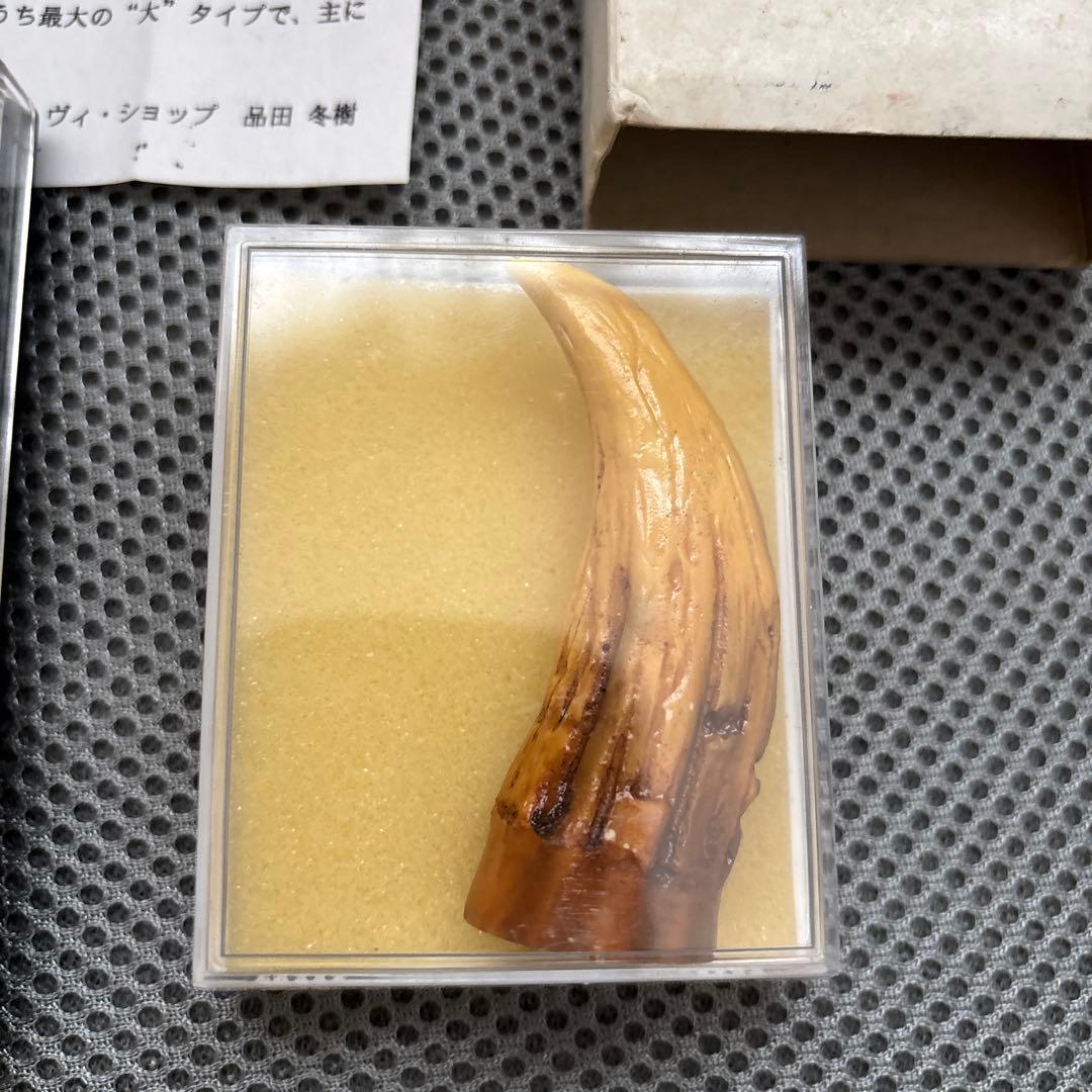 HMV GMKゴジラ東京SOS DVD 予約特典レプリカ