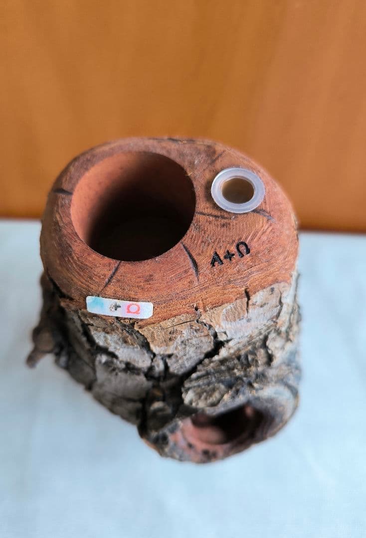 ☆希少！ 三本木 森兵衛 A+Ω クラフトウッド☆