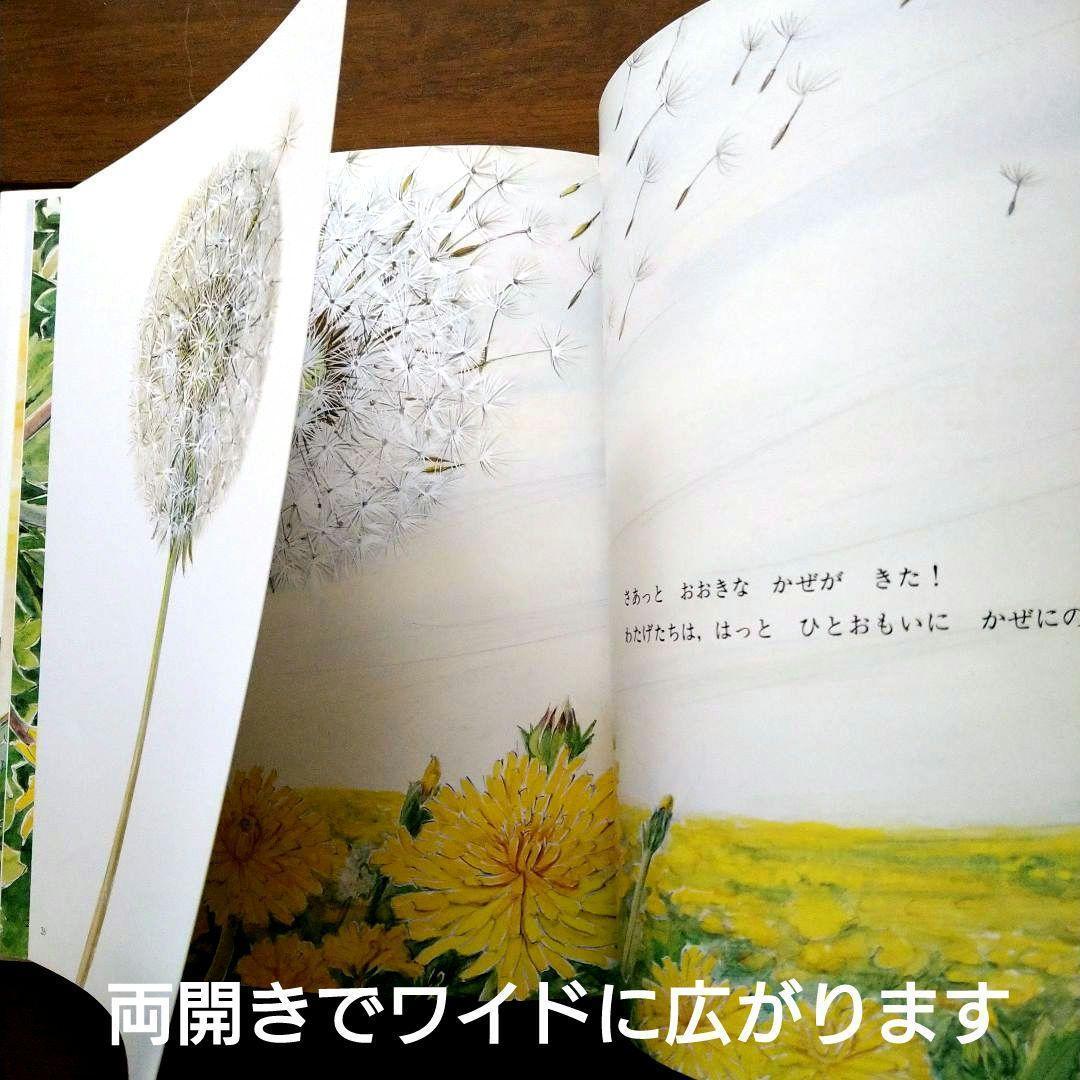 植物絵本☆かがくのとも たねがとぶ ざっそう たんぽぽ☆福音館 甲斐