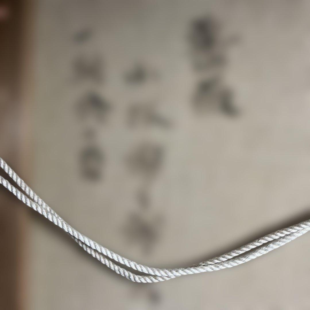 ねむさん専用　【真作】　（WISH） 小林慎太郎　『薔薇』　F６号　一期会会員