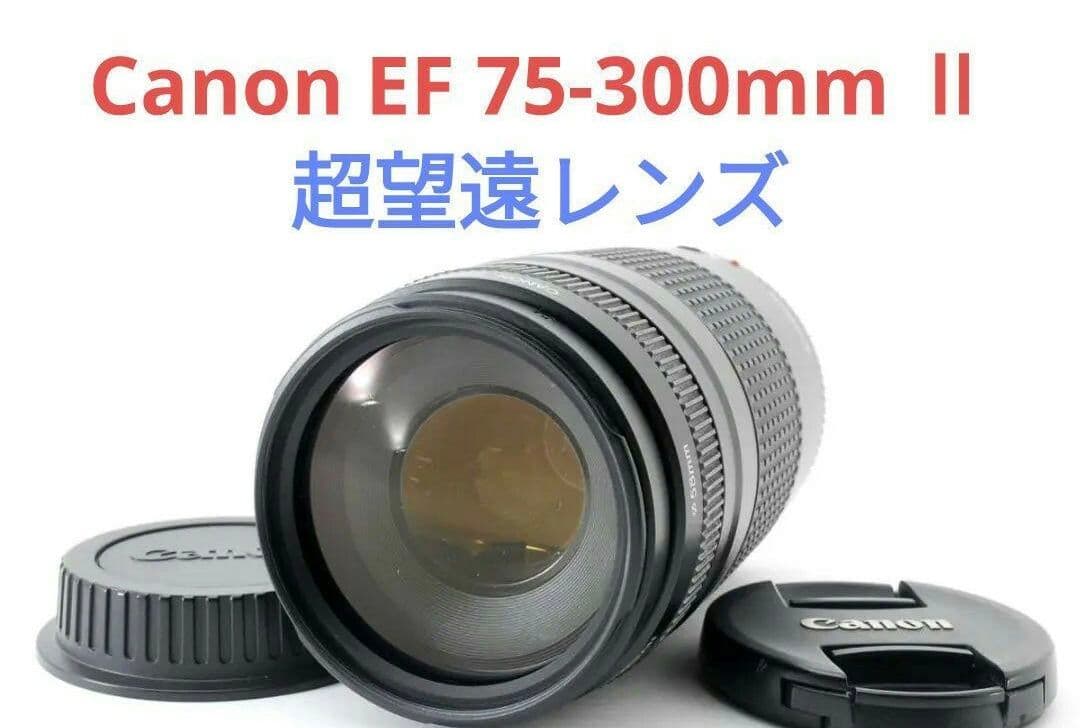5月15日限定特価♪【超望遠レンズ】Canon EF 75-300mm Ⅱキヤノン、