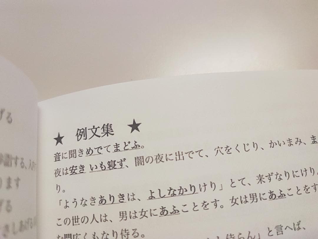 ニルの学校による古文単語漢文単語集フルセット 駿台 鉄緑会 河合塾