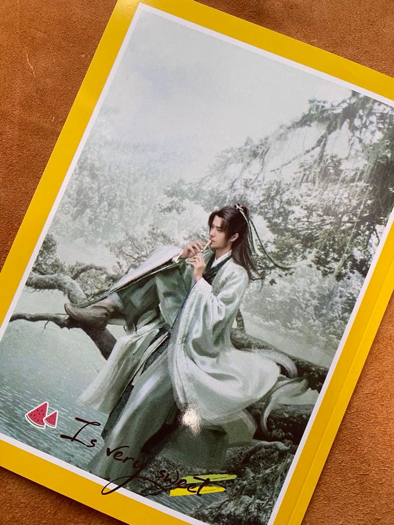 王一博 「有翡」写真集 時光とあなた写真集A4サイズ28p - メルカリ