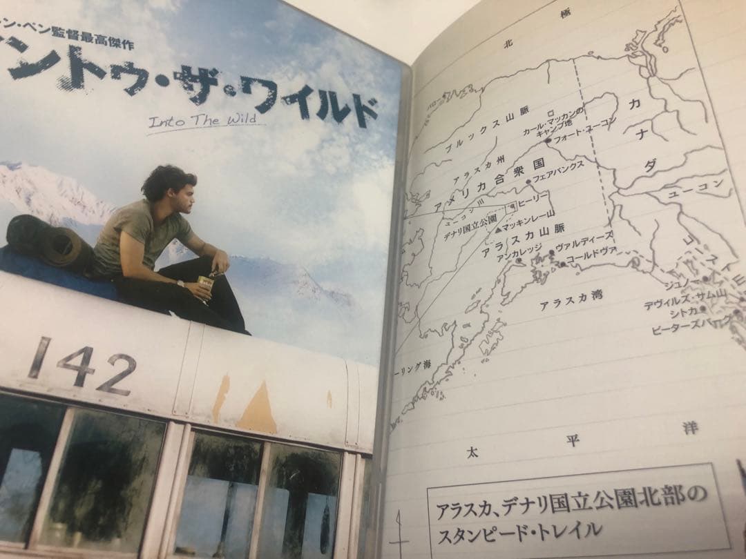 INTO THE WILD イン・トゥ・ザ・ワイルド DVD - メルカリ