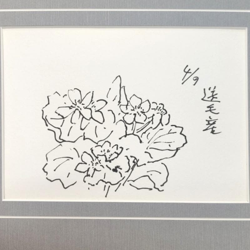 ☆坂本直行☆「 送毛産 エゾノリユウキンカ 」ペン画 太子サイズ 未