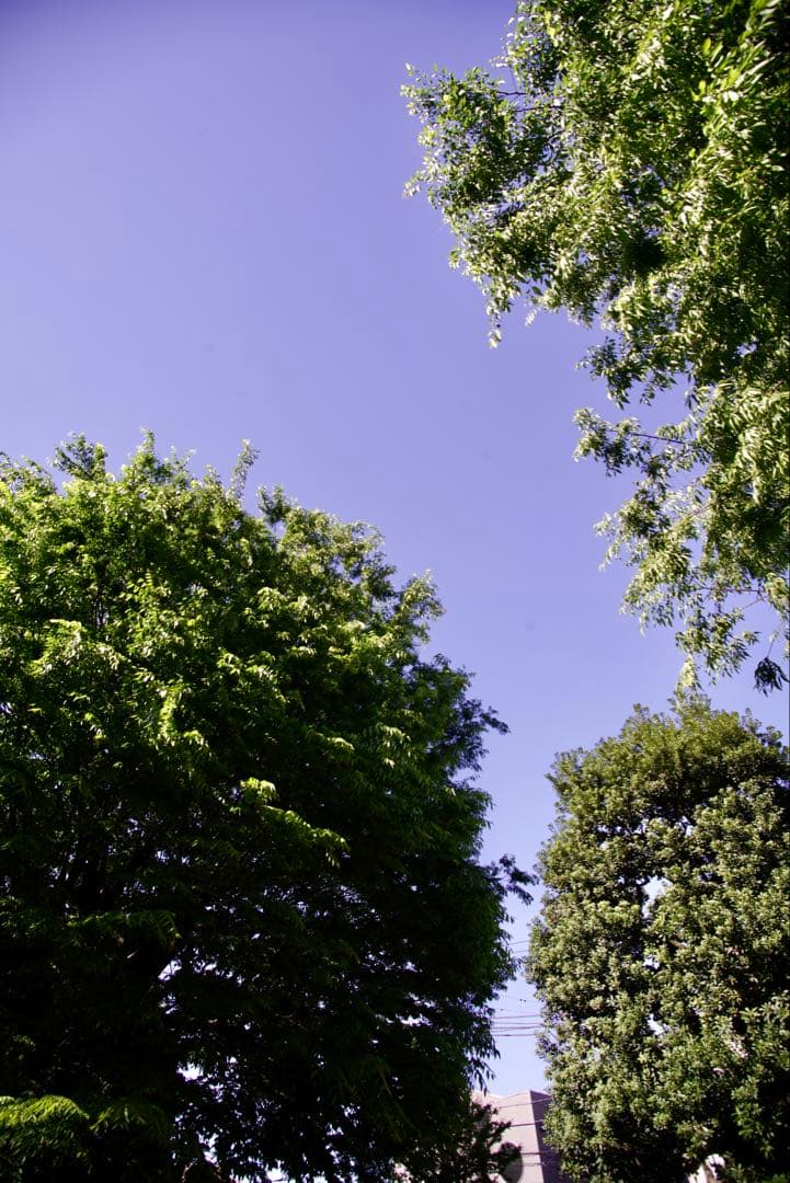 COSINA MC 19-35mm F3.5-4.5 広角ズームレンズMDMC