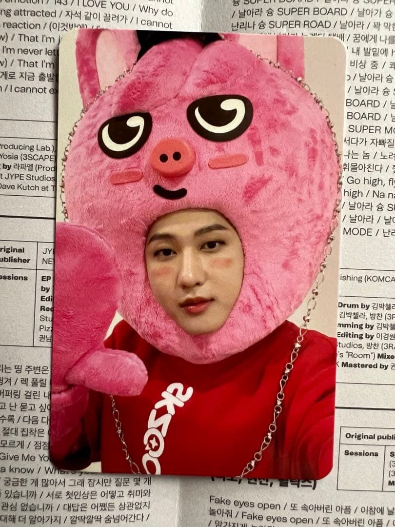 straykids チャンビン 着ぐるみトレカ ＋‪おまけ - メルカリ‬