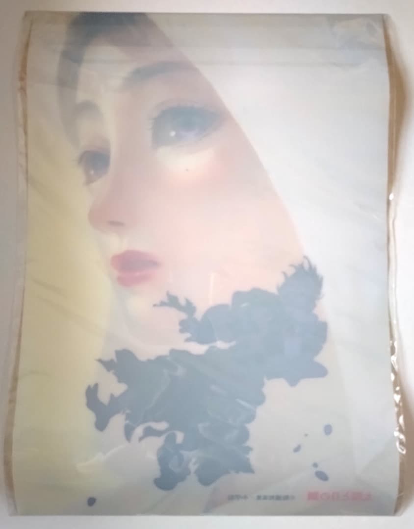 新品未開封】【非売品】 太陽と月の鋼 A3クリアポスター スペリオール