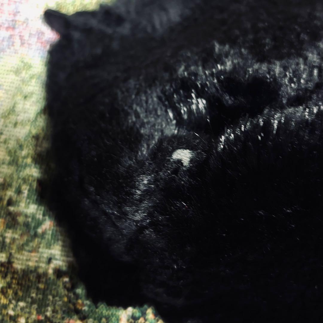 希少”ロンシャン プリアージュ ラビットファーハンドバッグ 黒色