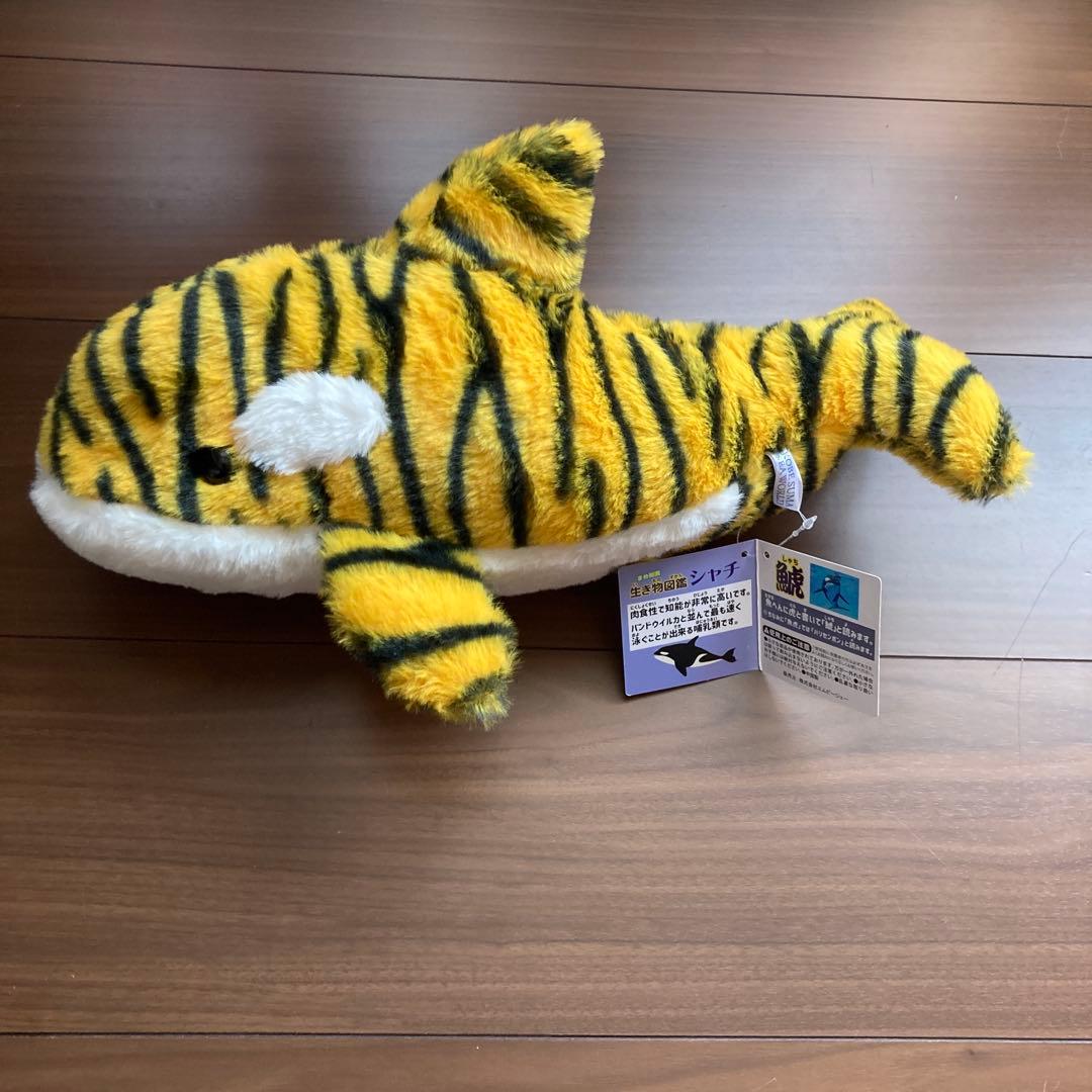 専用出品品です。 須磨シーワールド限定 オリジナルタイガーシャチ