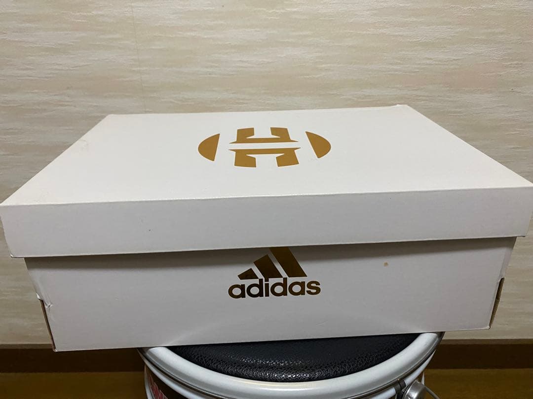 ADIDAS HARDEN VOL. 3 カスタムペイントシューズ