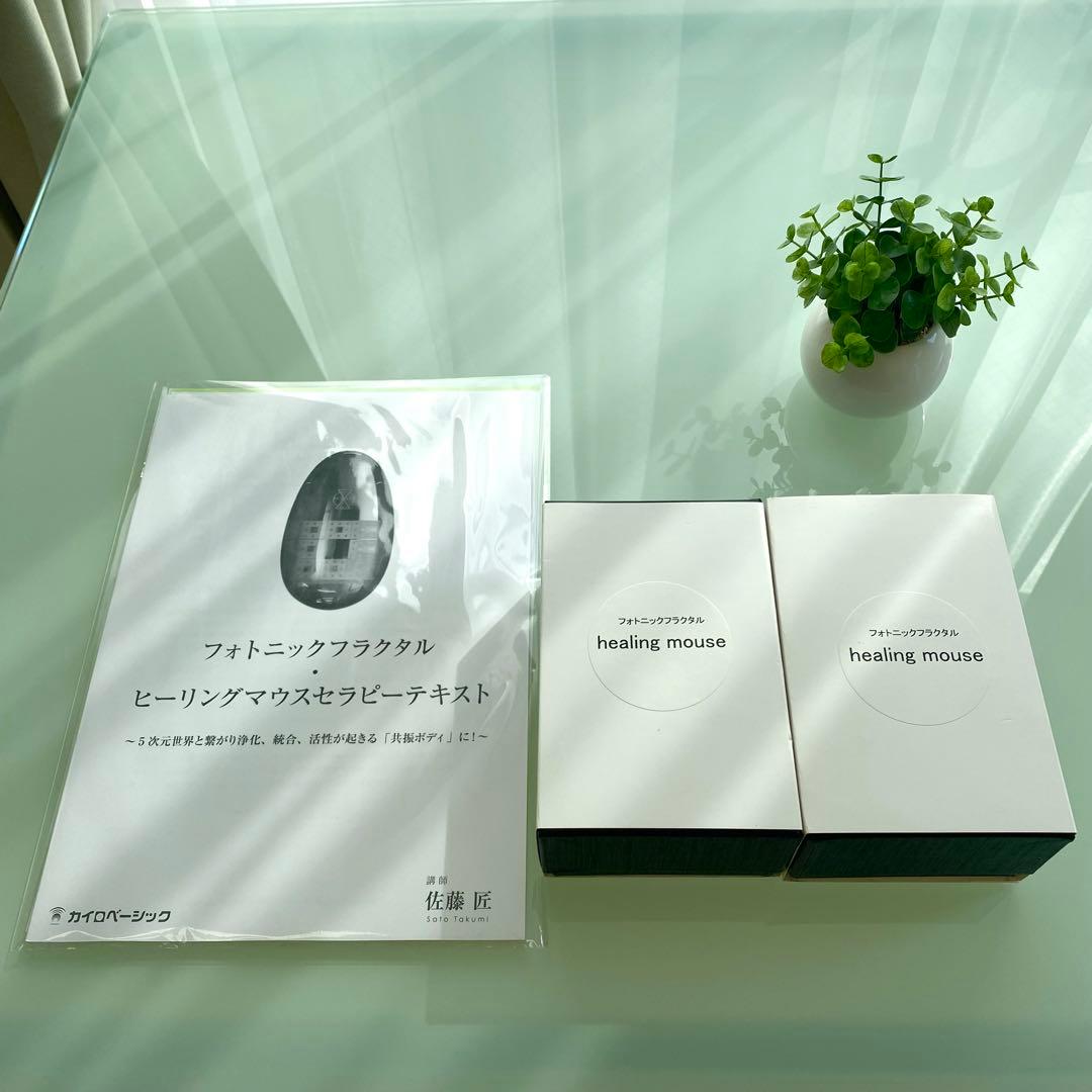 フォトニックフラクタル ヒーリングマウス - メルカリ