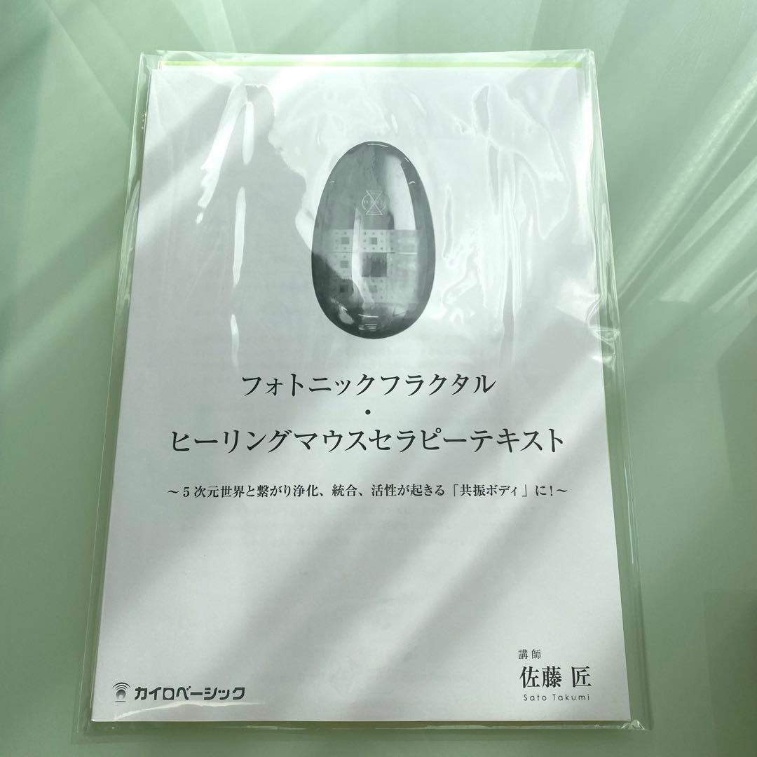 フォトニックフラクタル ヒーリングマウス - メルカリ