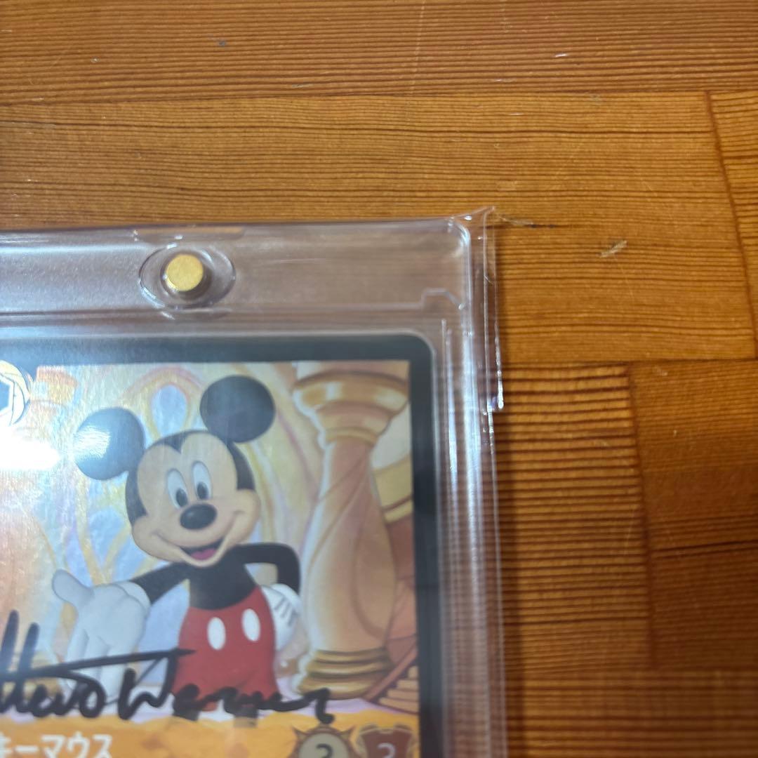 rainbow33様専用 ロルカナ スティーブワーナー 直筆サイン入カード