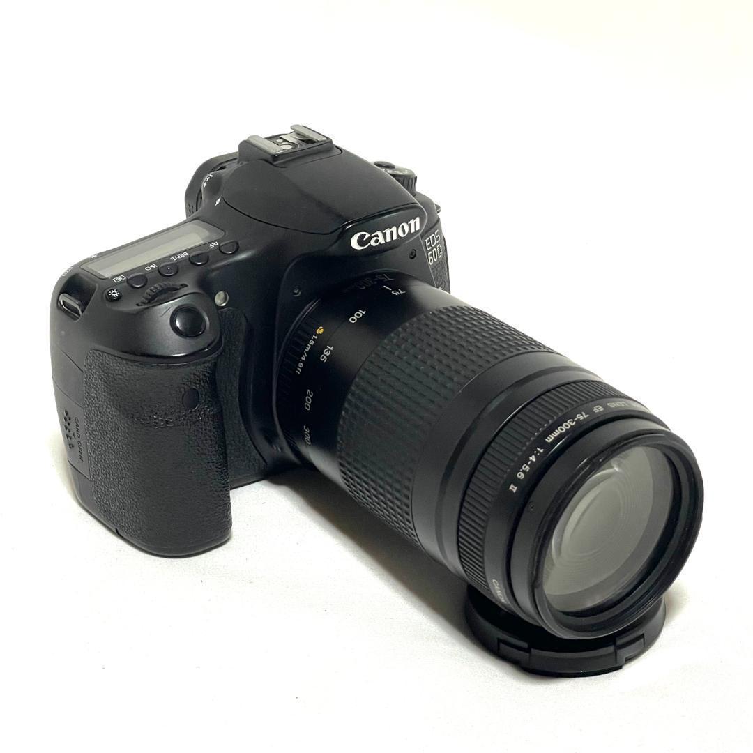 表現力を高めたい人へ❣️ Canon EOS 60D 超望遠ダブルレンズセット