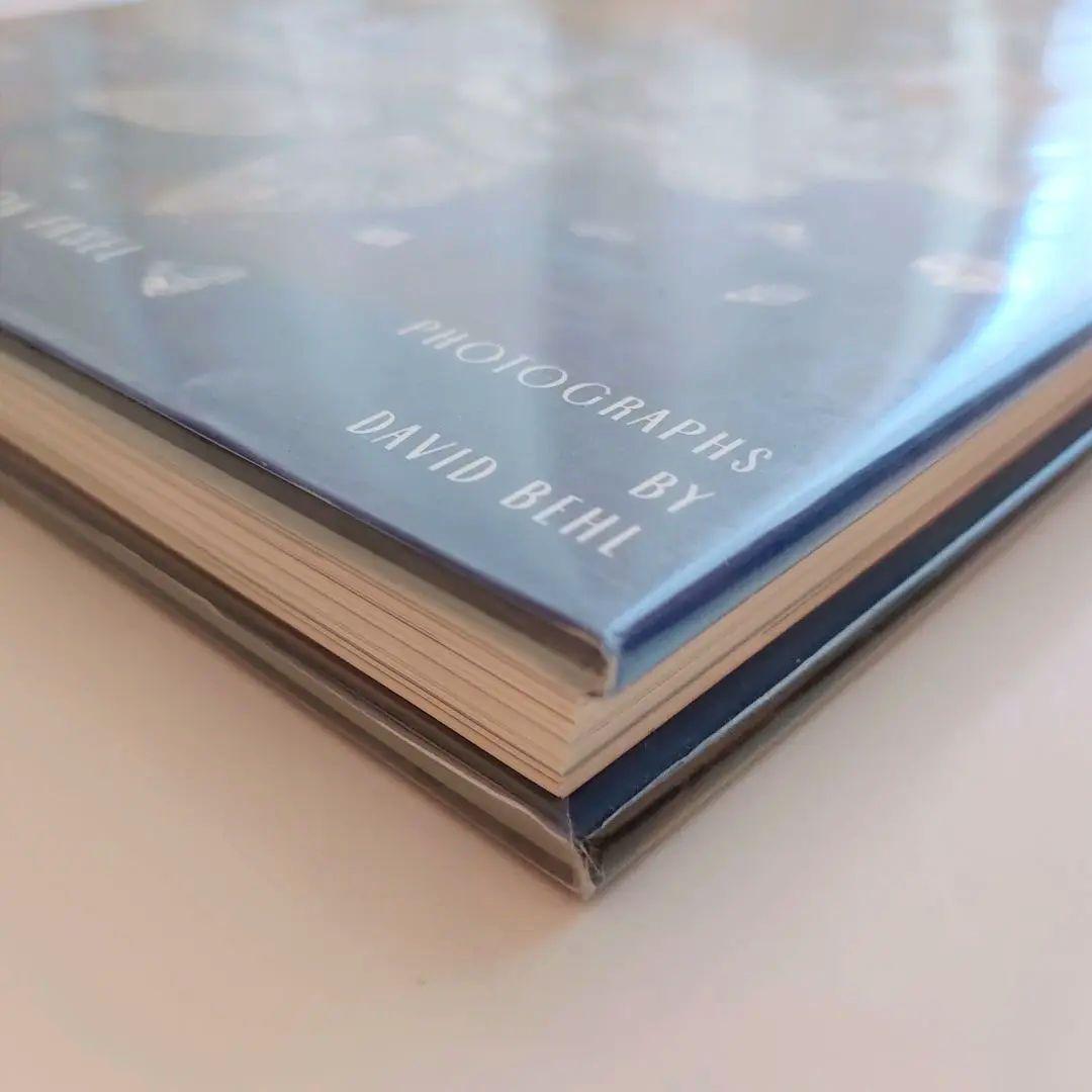 盗難された仏の国宝掲載DIAMONDS A CENTURY OF SPECTA