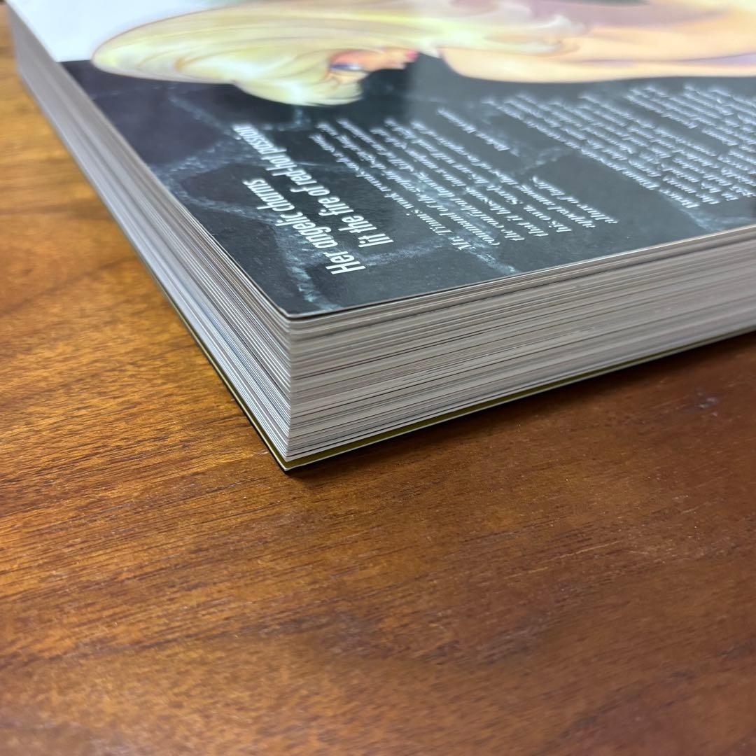 洋書 Naughty And Nice / Bruce Timm