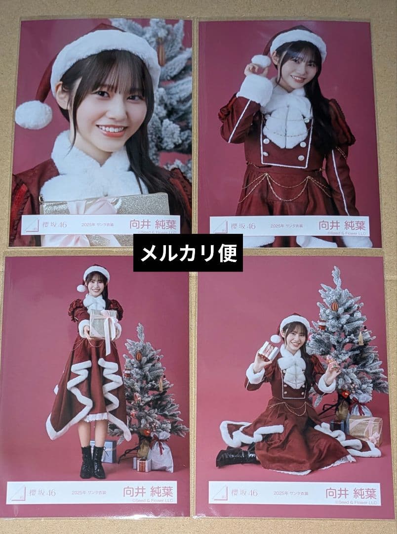 向井純葉 2025年 サンタ衣装 - メルカリ