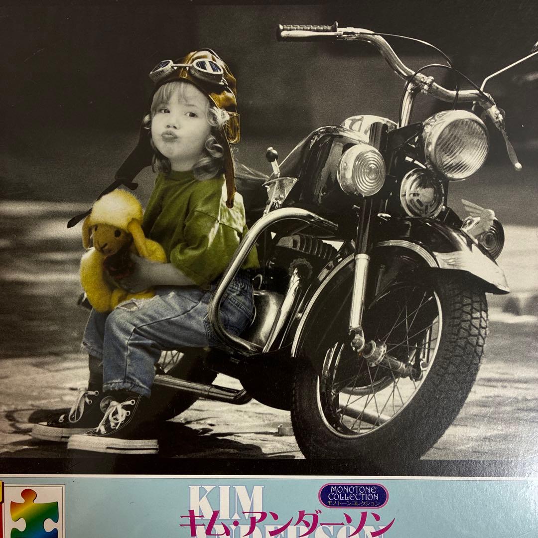 キム・アンダーソン おしゃまなライダー ジグソーパズル 1000ピース 未