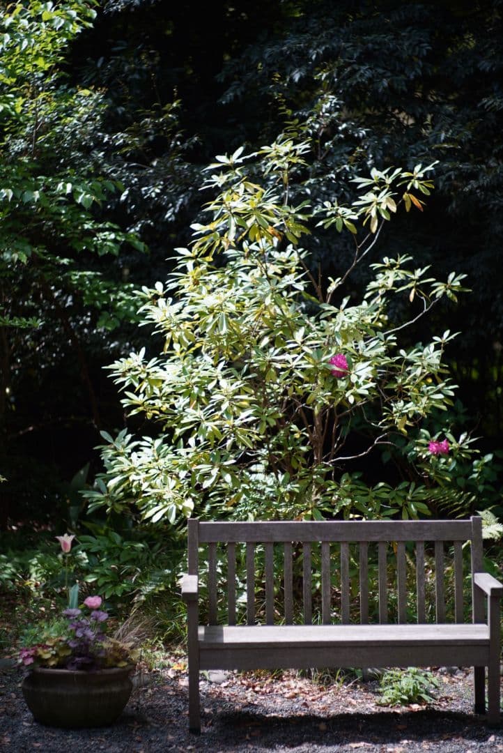 分解清掃済】Nikon NIKKOR-H.C Auto 85mm f1.8中古 NIKKOR-H Auto 85mm