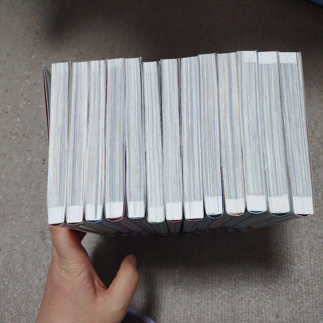 ある日、お姫様になってしまった件について 1~13[完]