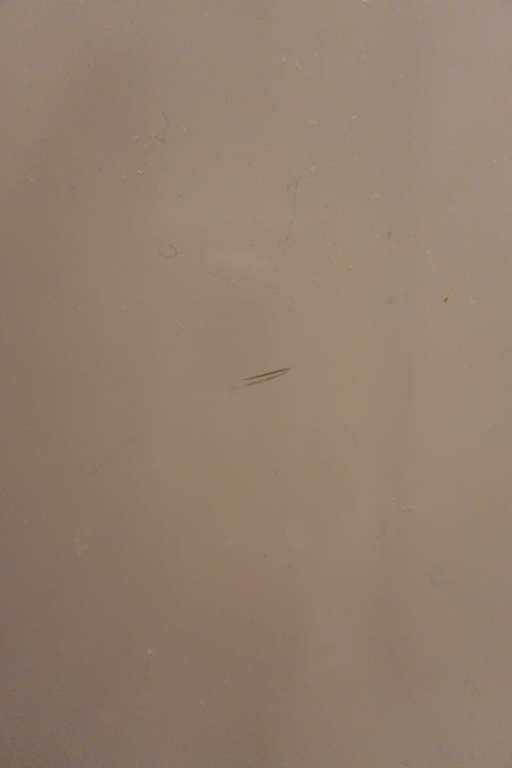 SHARP 縦型洗濯機 6.0kg