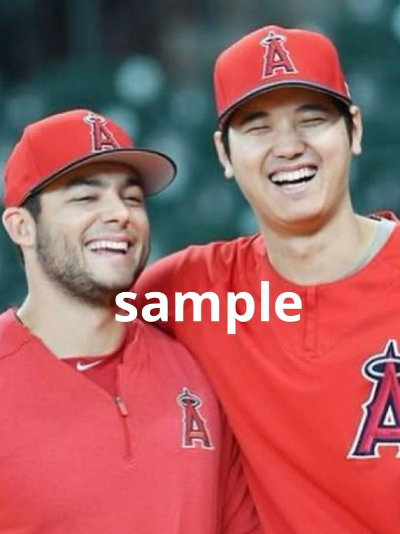MLB エンジェルス 大谷翔平 19選 ☆149 選択購入可能