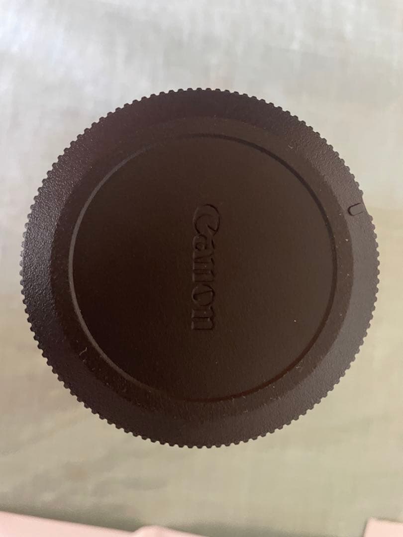 SIGMA 16-300 F3.5-6.7 DC OS キヤノンRF用