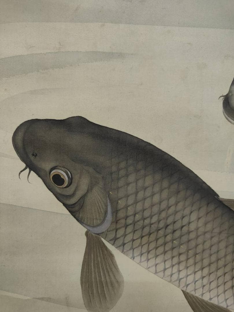 真作/西村圭文/遊鯉図/双鯉図/布袋屋掛軸A-707 - メルカリ