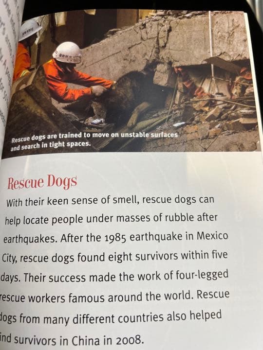 洋書 A true book シリーズ 33冊