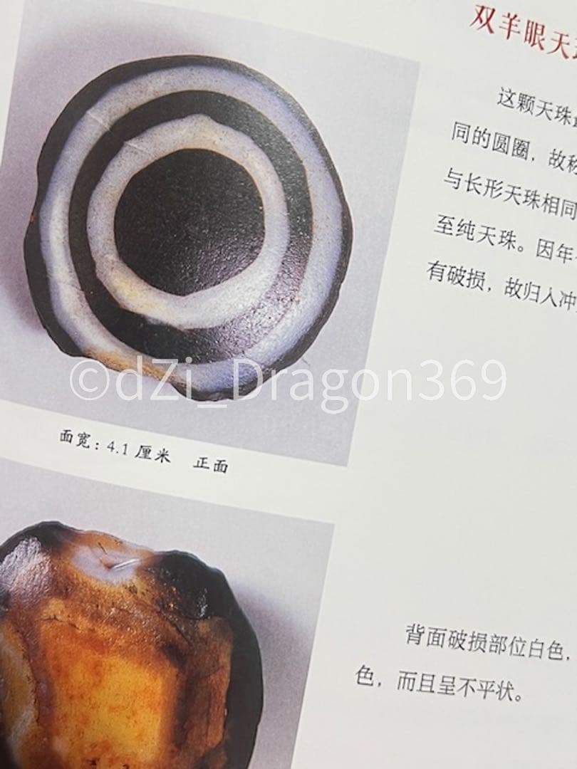 一点限り／ 入手困難 】中国刊行 天珠（dZi）の本