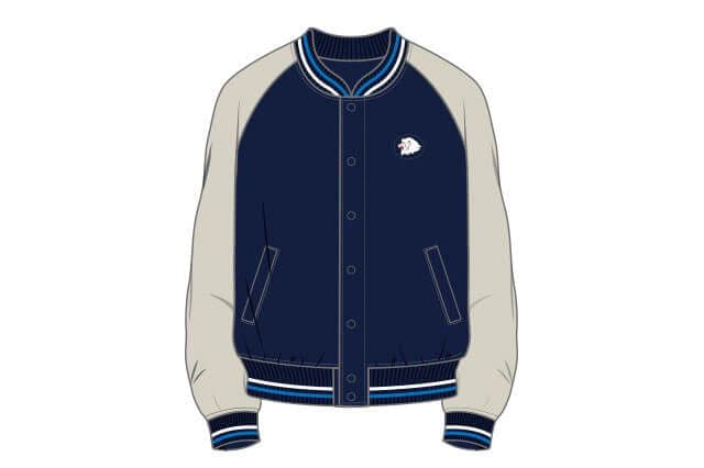 新品 埼玉西武ライオンズ スタジアムジャンパー XLサイズ 希少