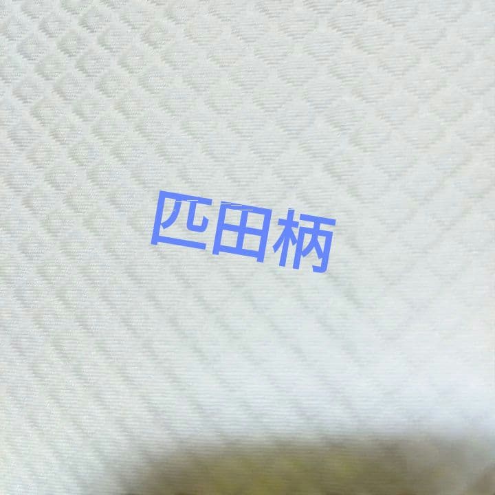 掛下匹田模様丸なし五つ紋桐イ