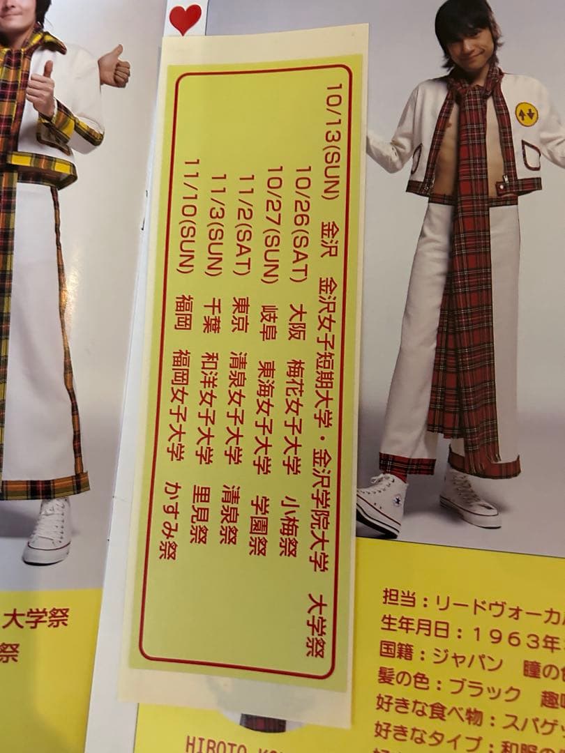 ブルーハーツ ハイロウズ パンフレット 大量10冊セット