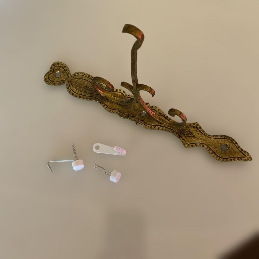 超希少* フランスアンティーク ケイジシャンデリア