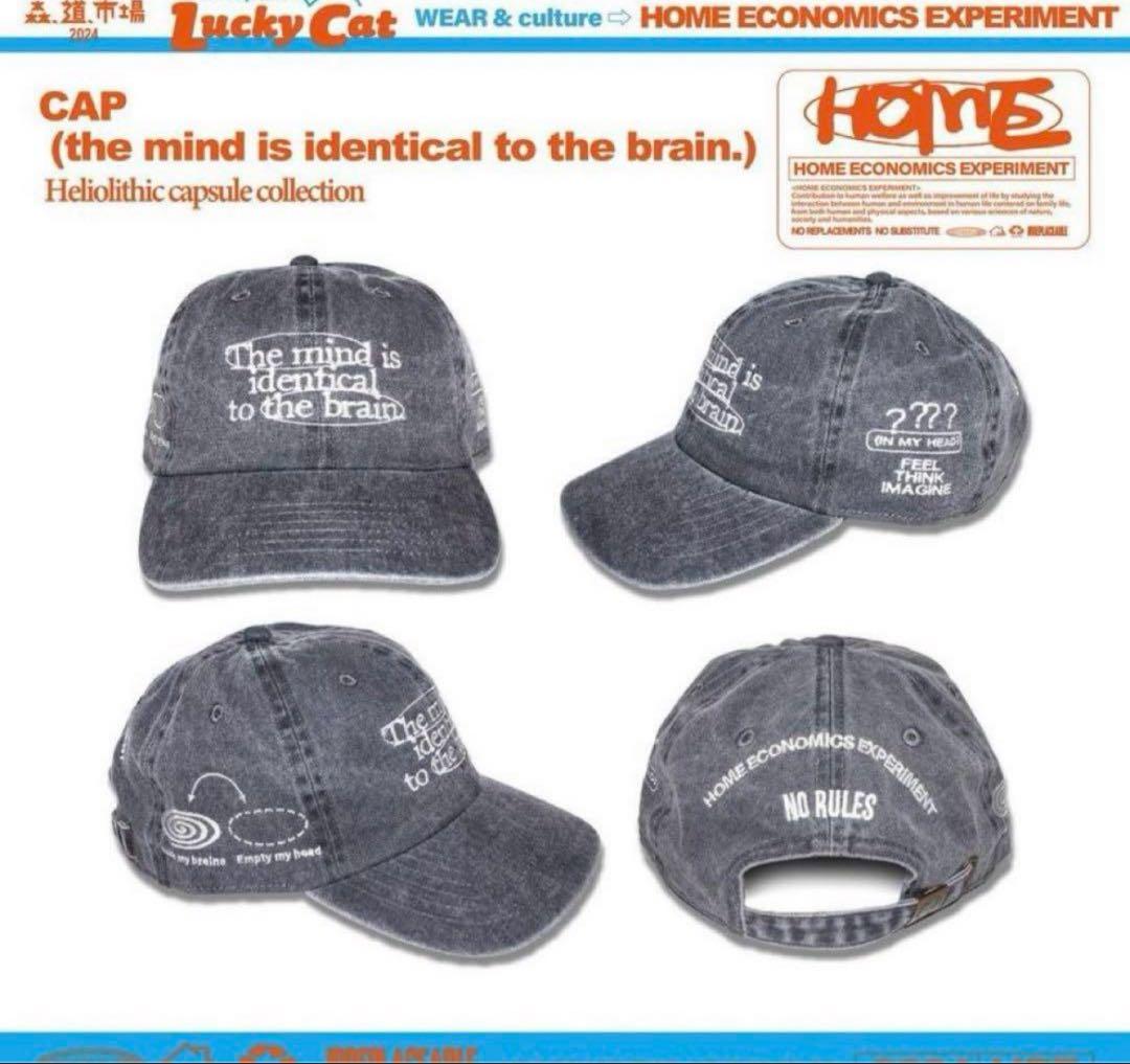 希少】HOME ECONOMICS EXPERIMENT cap キャップ