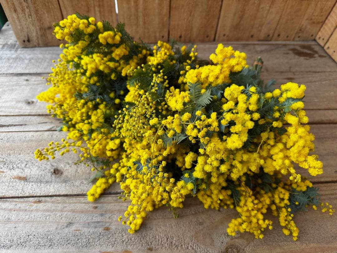 tsubura様 リクエスト 3点 まとめ商品 T様 リクエスト 3点 まとめ商品 - メルカリ