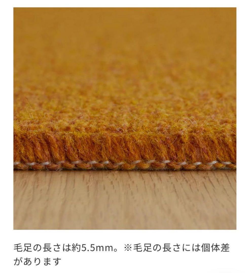 新品 ウニコ ラグ MENGEN(メンゲン) メランジグリーン 200×200 - メルカリ