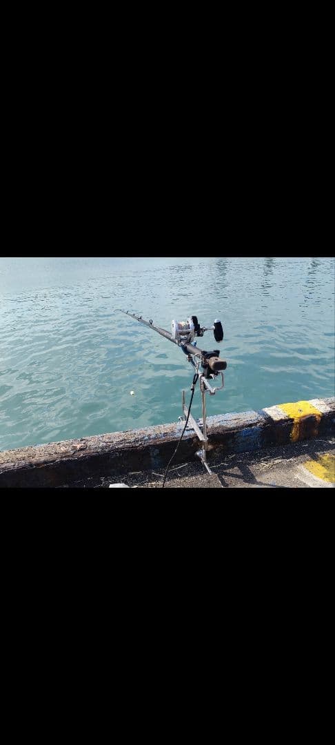 石鯛 カゴ釣り 堤防車輪留めピトン アンカー不要 石鯛 ピトン」の人気