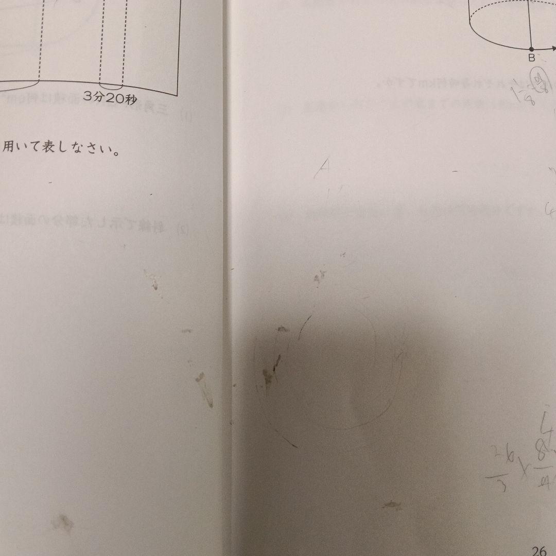 浜学園小6日曜志望校別特訓問題集 L洛南·西大和コース - メルカリ