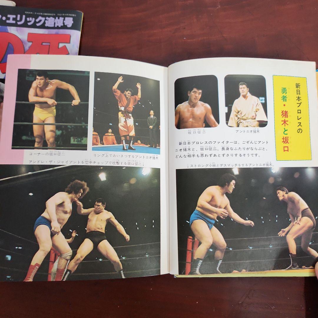 プロレスファン必見 雑誌 プロレス夢のオールスター戦